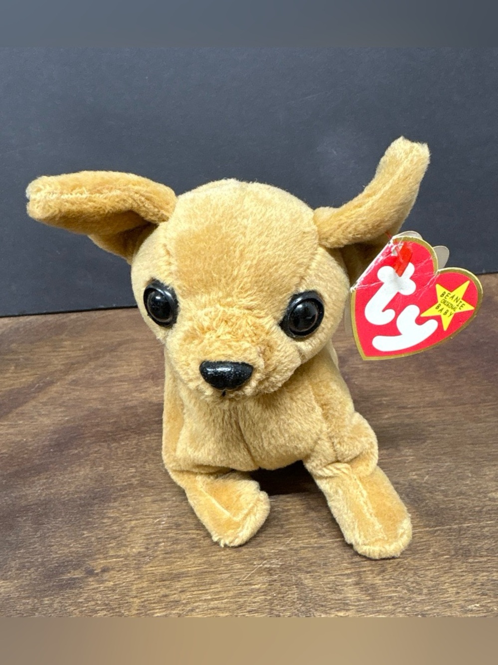 1999 Tiny Ty Plush Tan Chihuahua with Hang Tag